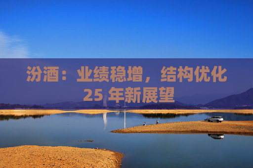 汾酒：业绩稳增，结构优化 25 年新展望