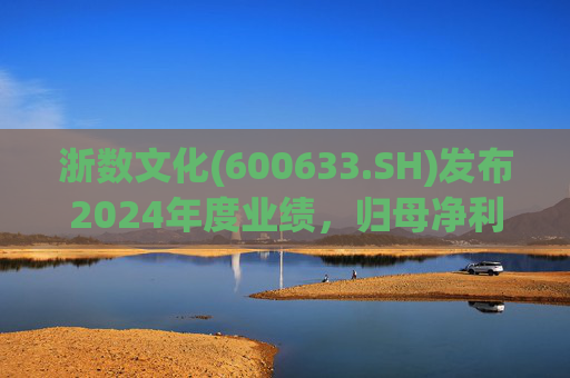 浙数文化(600633.SH)发布2024年度业绩，归母净利润5.12亿元，同比下降22.84%  第1张