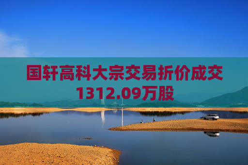 国轩高科大宗交易折价成交1312.09万股