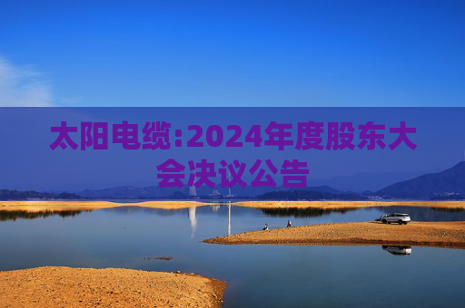 太阳电缆:2024年度股东大会决议公告  第1张