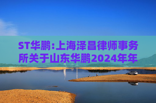 ST华鹏:上海泽昌律师事务所关于山东华鹏2024年年度股东大会的法律意见书  第1张