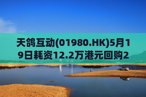 天鸽互动(01980.HK)5月19日耗资12.2万港元回购20万股