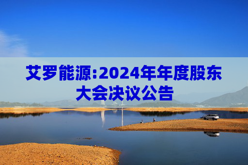 艾罗能源:2024年年度股东大会决议公告  第1张