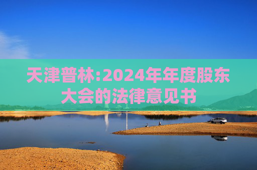 天津普林:2024年年度股东大会的法律意见书