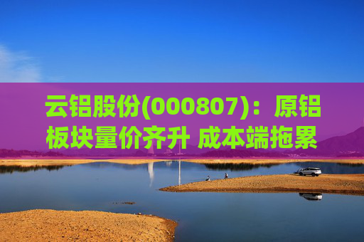 云铝股份(000807)：原铝板块量价齐升 成本端拖累Q4业绩