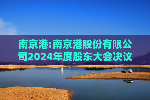 南京港:南京港股份有限公司2024年度股东大会决议公告