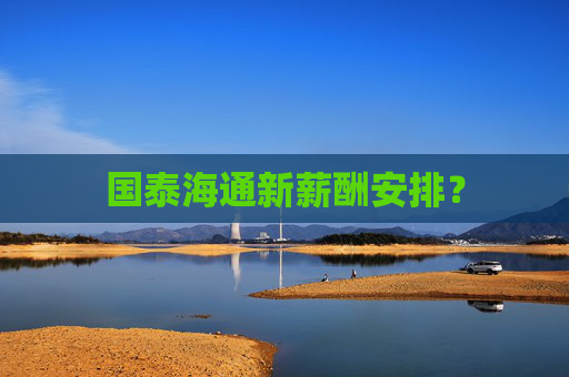 国泰海通新薪酬安排？