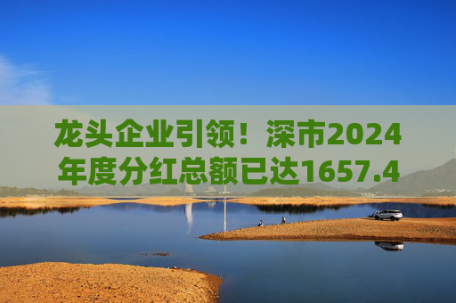 龙头企业引领!深市2024年度分红总额已达1657.47亿元 第1张 龙头企业引领!深市2024年度分红总额已达1657.47亿元 第1张