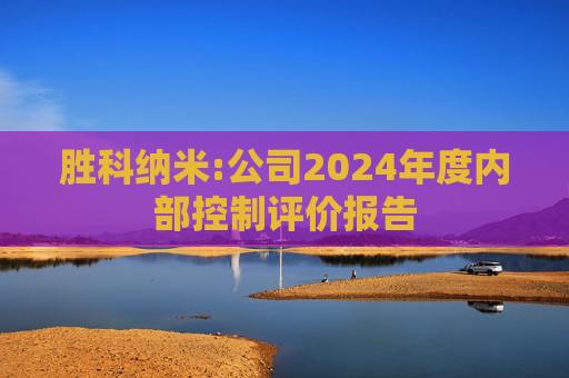 胜科纳米:公司2024年度内部控制评价报告