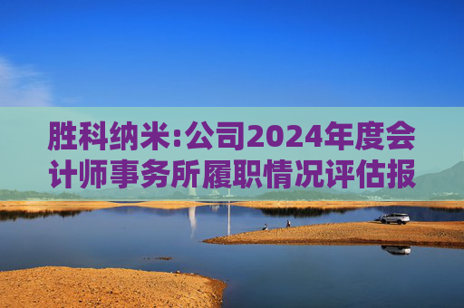 胜科纳米:公司2024年度会计师事务所履职情况评估报告  第1张