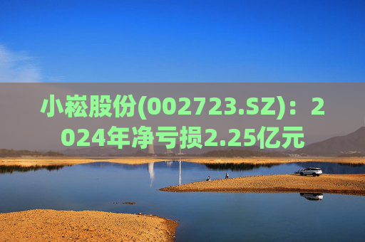 小崧股份(002723.SZ)：2024年净亏损2.25亿元