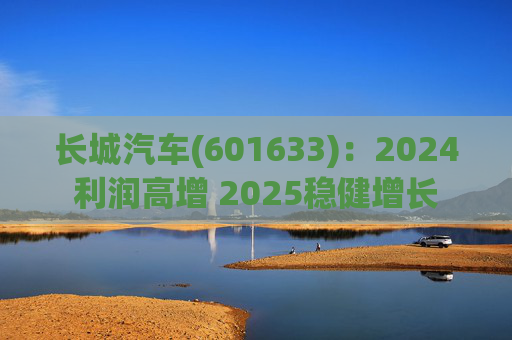 长城汽车(601633)：2024利润高增 2025稳健增长