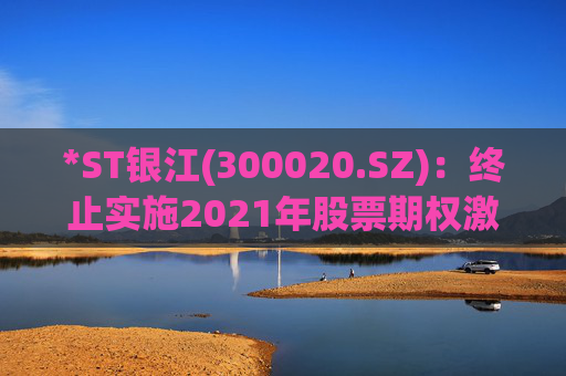 *ST银江(300020.SZ)：终止实施2021年股票期权激励计划及2023年限制性股票激励计划