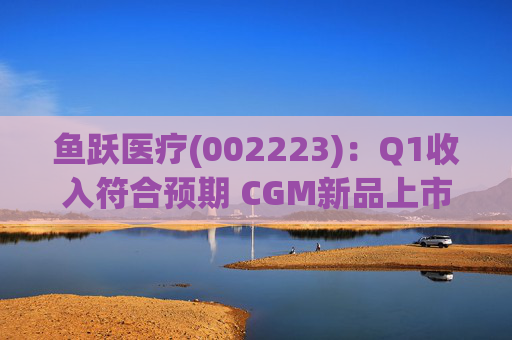 鱼跃医疗(002223)：Q1收入符合预期 CGM新品上市丰富增长动能