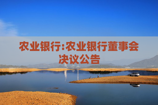 农业银行:农业银行董事会决议公告