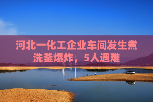 河北一化工企业车间发生煮洗釜爆炸，5人遇难