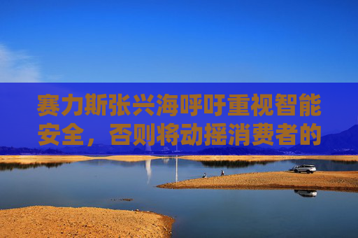 赛力斯张兴海呼吁重视智能安全，否则将动摇消费者的信心  第1张