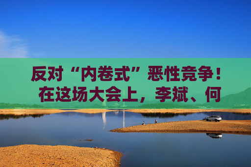 反对“内卷式”恶性竞争！  在这场大会上，李斌、何小鹏、閤先庆等表态“价格战”