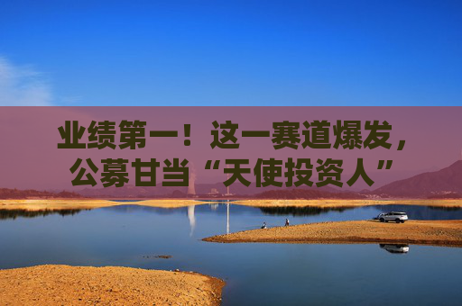 业绩第一！这一赛道爆发，公募甘当“天使投资人”