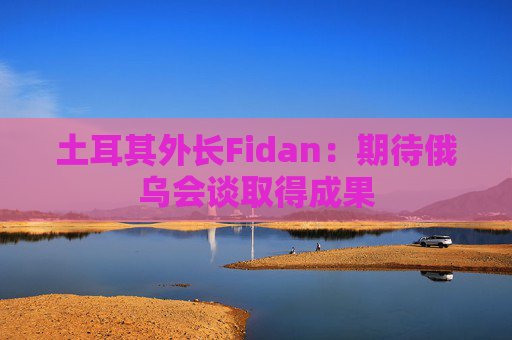 土耳其外长Fidan：期待俄乌会谈取得成果