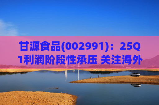 甘源食品(002991)：25Q1利润阶段性承压 关注海外市场突破