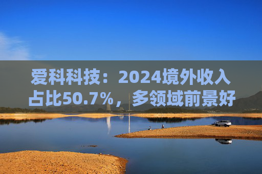 爱科科技：2024境外收入占比50.7%，多领域前景好