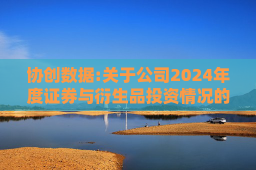 协创数据:关于公司2024年度证券与衍生品投资情况的专项报告  第1张