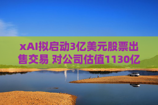 xAI拟启动3亿美元股票出售交易 对公司估值1130亿美元