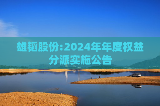 雄韬股份:2024年年度权益分派实施公告