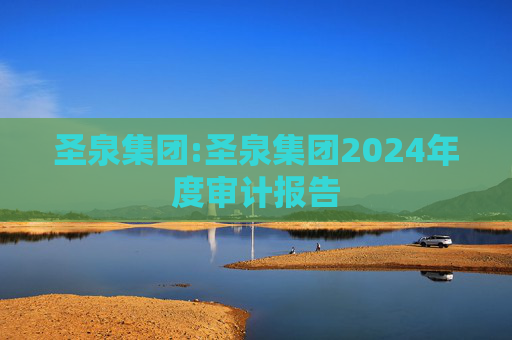 圣泉集团:圣泉集团2024年度审计报告