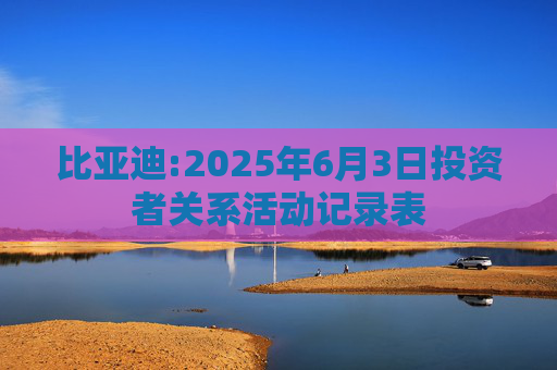 比亚迪:2025年6月3日投资者关系活动记录表