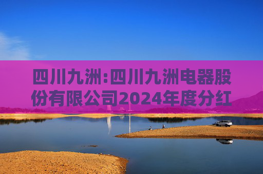 四川九洲:四川九洲电器股份有限公司2024年度分红派息实施公告