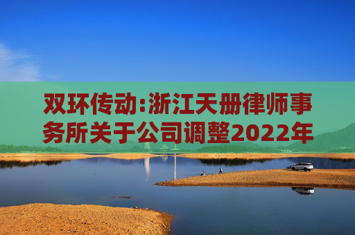 双环传动:浙江天册律师事务所关于公司调整2022年股票期权激励计划行权价格的法律意见书