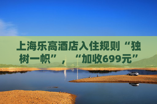 上海乐高酒店入住规则“独树一帜”，“加收699元”引质疑