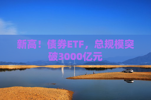 新高！债券ETF，总规模突破3000亿元