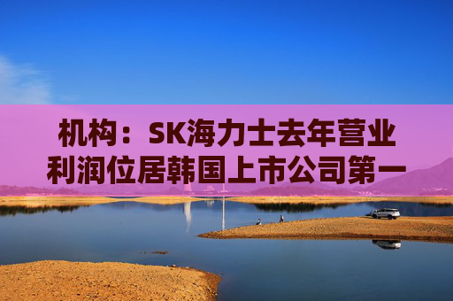 机构:SK海力士去年营业利润位居韩国上市公司第一,首次超过三星电子