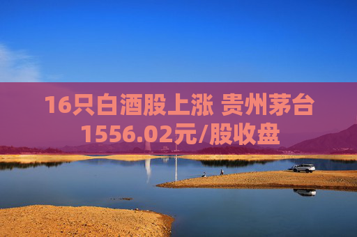 16只白酒股上涨 贵州茅台1556.02元/股收盘