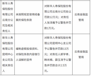 新华保险云南分公司与昆明中心支公司合计被罚25万元：未按照规定使用经备案的保险条款等