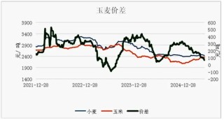 6月步入青黄不接，玉米行情是涨是跌？