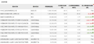 主权财富基金，A股持仓出炉