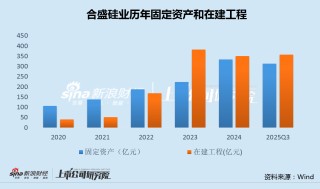 合盛硅业转亏股东清仓式减持：固定资产在建工程有息负债均超300亿 直接融资109亿后拟再大规模募资