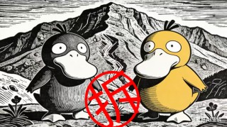 广东老板不远万里来到双鸭山