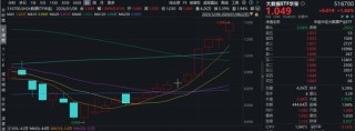 冲击10连阳！大数据ETF华宝（516700）盘中拉升1.9%！宝信软件等3股涨停！机构：数据中心建设或迎需求反弹