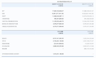 南方基金2025年报：营收87.67亿，净利27.05亿，双增超15%，非货规模近期回落