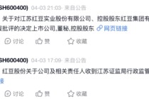 接踵被罚：红豆股份资金占用与信披违规的监管事实与合规审视