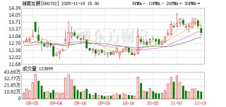 湖南发展：本次重组正在推进中