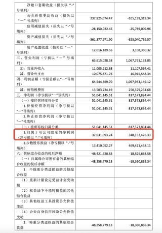 华宇集团2024年净利缩水近九成，57岁董事长蒋杰曾是建筑公司施工员