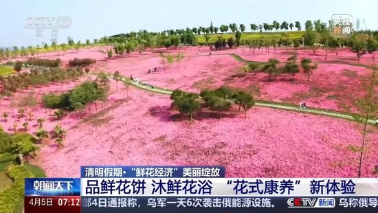 暴涨220%！这一市场，绽放！  第5张