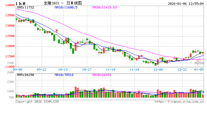 供需双增支撑12月生猪屠宰量增幅明显 第2张 供需双增支撑12月生猪屠宰量增幅明显 第2张
