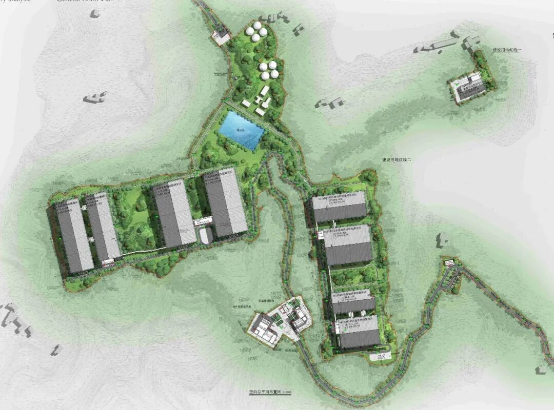 恒丰银行为新春“肉篮子”添“金”  第3张